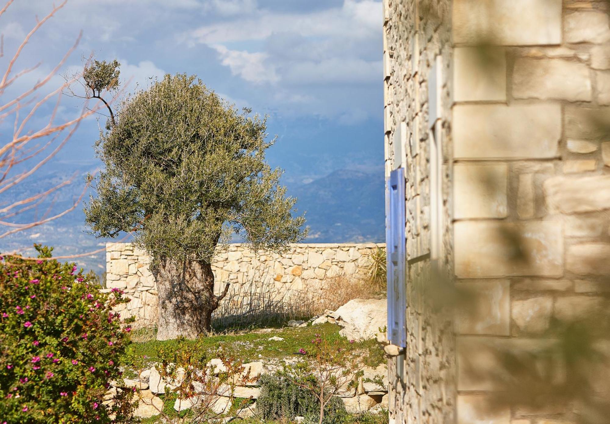 Orelia Cretan Deluxe Apartments Kamilari Exterior photo